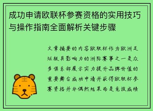 成功申请欧联杯参赛资格的实用技巧与操作指南全面解析关键步骤 成功申请欧联杯参赛资格的实用技巧与操作指南全面解析关键步骤